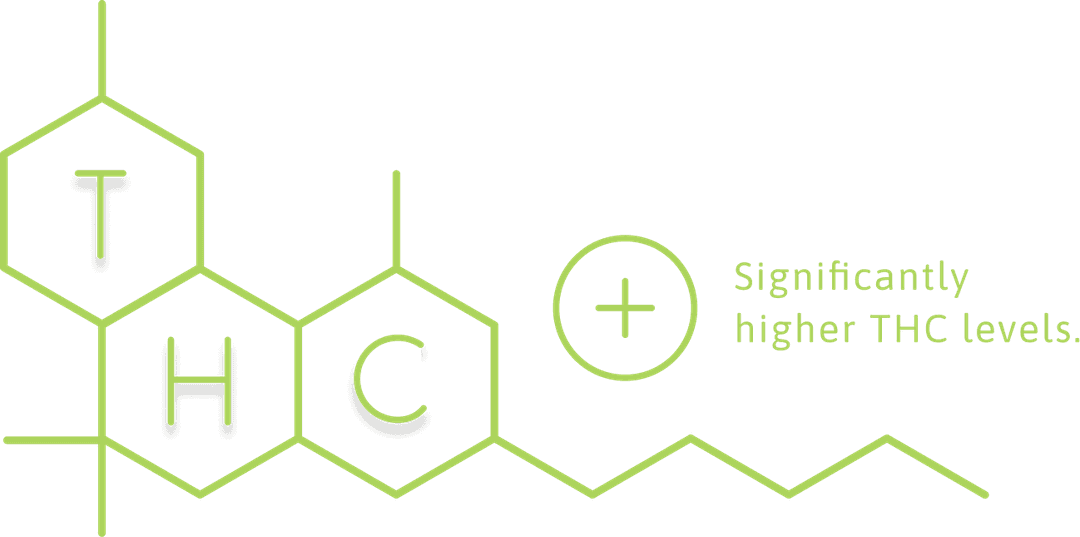 Significantly higher THC levels