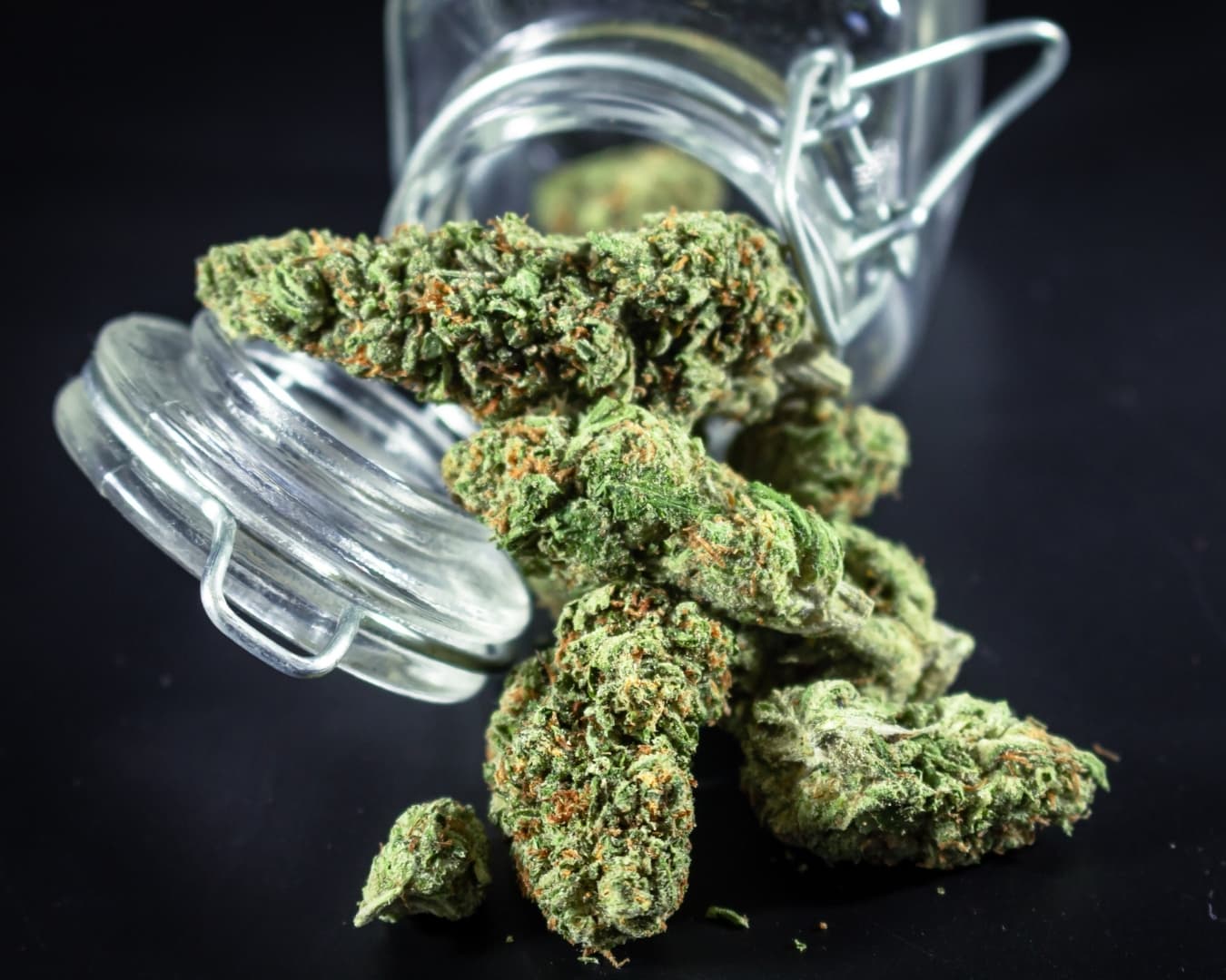 Build Your Own Ounce
