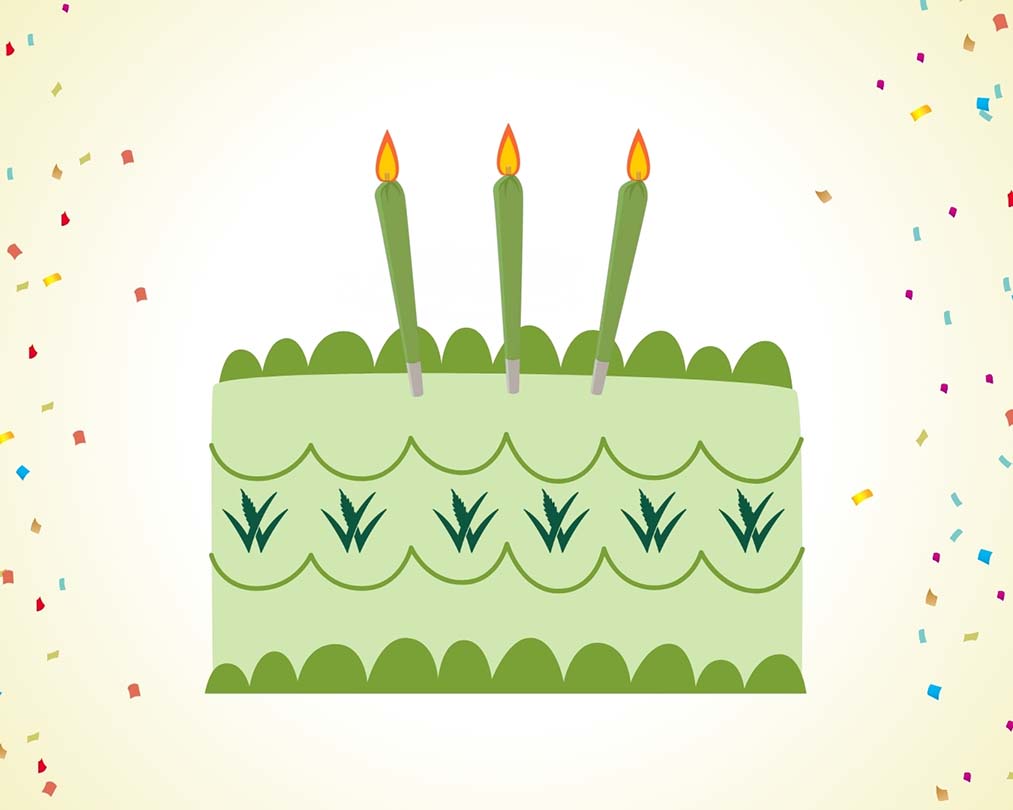 Birthday Web Promo