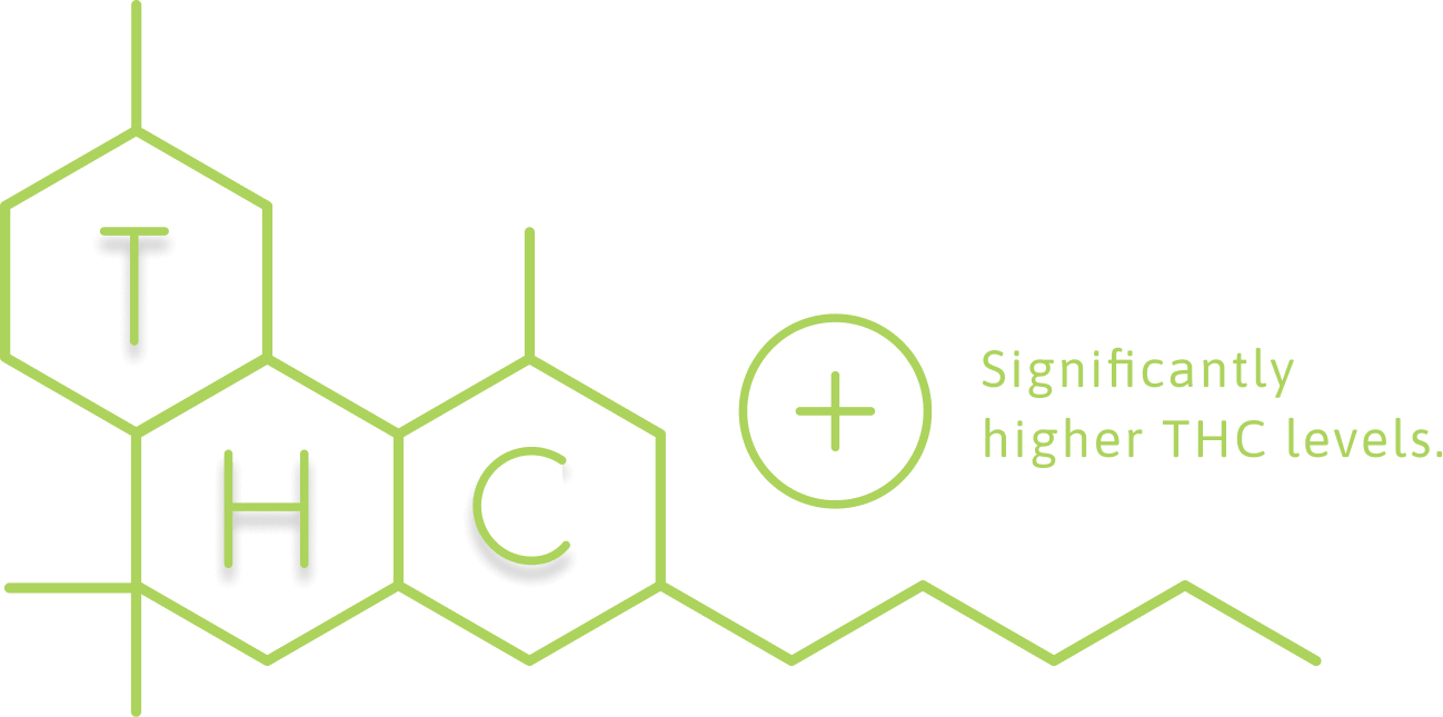 THC molecule diagram with the text "Significantly higher THC levels"